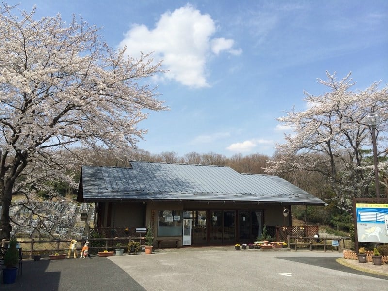 森林湖畔霊苑 - Image 6