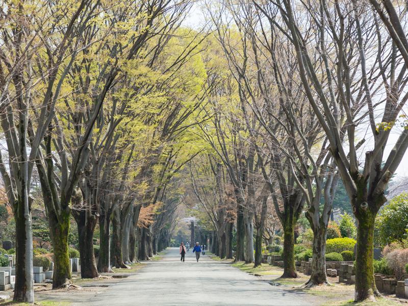 都立小平霊園 - Image 6