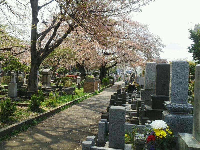 都立染井霊園 - Image 3
