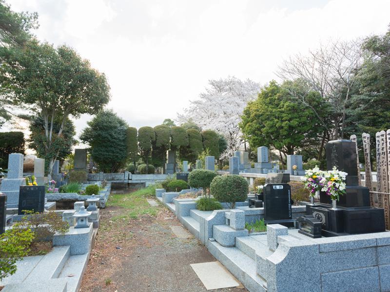 都立多磨霊園 - Image 3