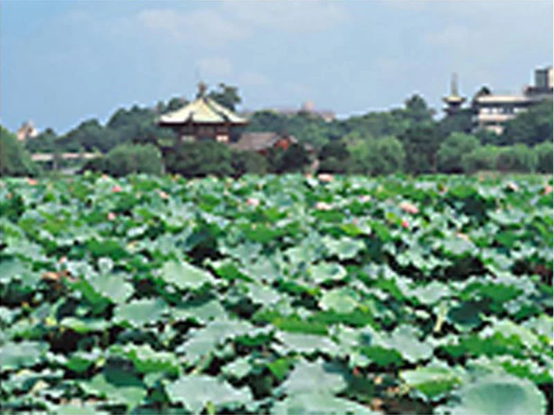 上野 寛永寺 光明閣 - Image 3
