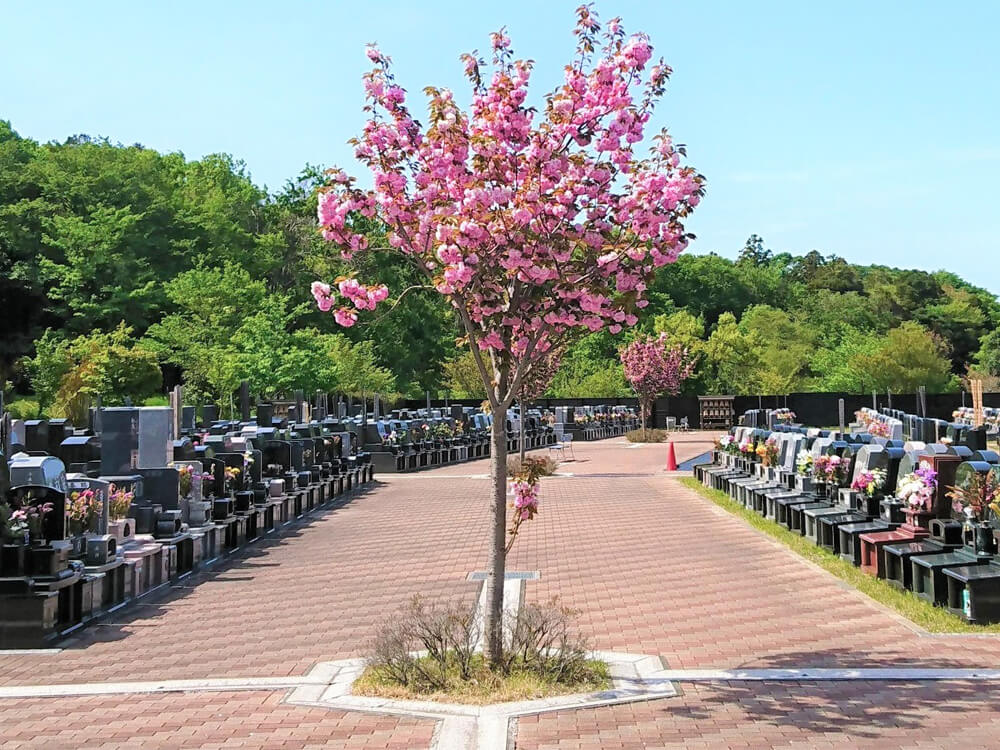 桜の郷花見川犢橋霊園 - Image 13