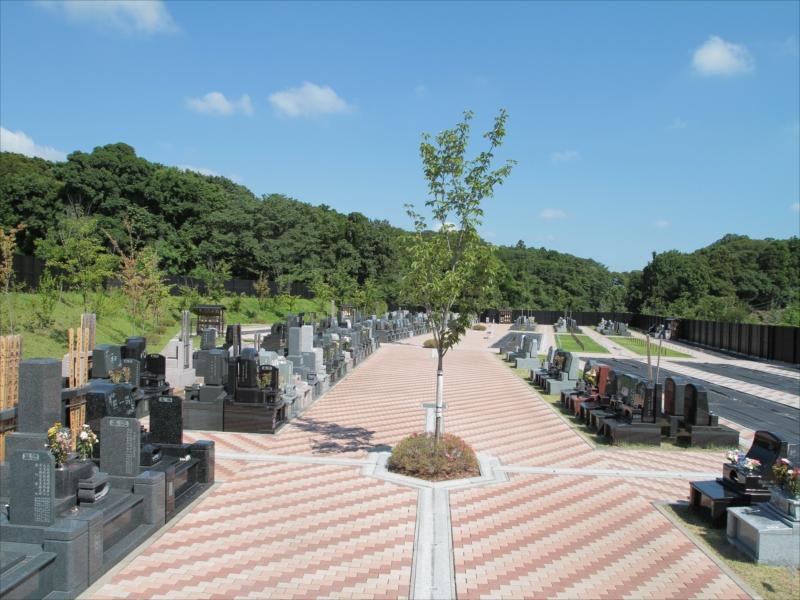 桜の郷花見川犢橋霊園 - Image 9