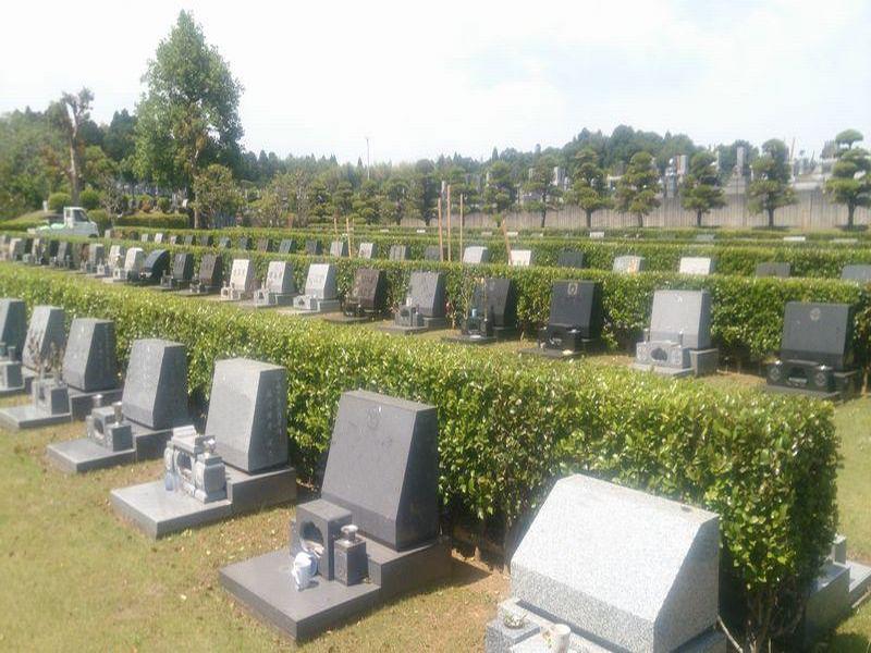 成田市営いずみ聖地公園 - Image 7