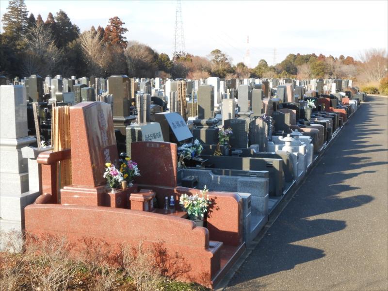 千葉市平和公園 - Image 6