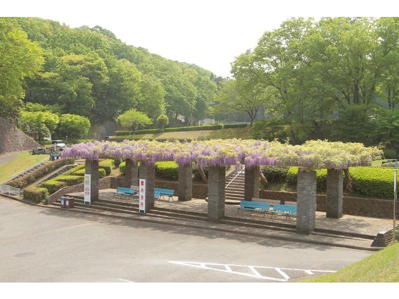 平塚市土屋霊園 - Image 3