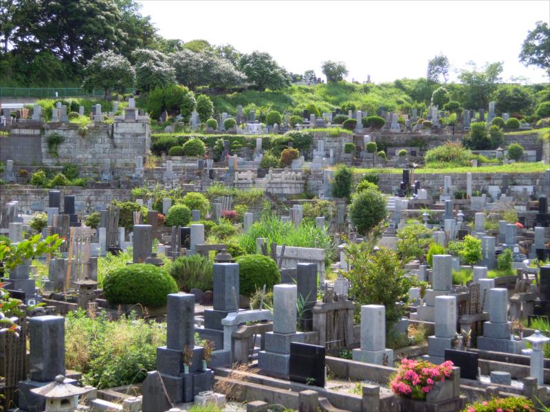 横浜市営 日野公園墓地 - Image 5