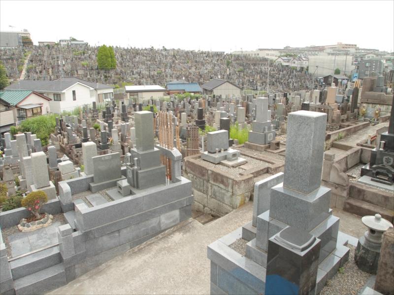 横浜市営 三ツ沢墓地 - Image 7