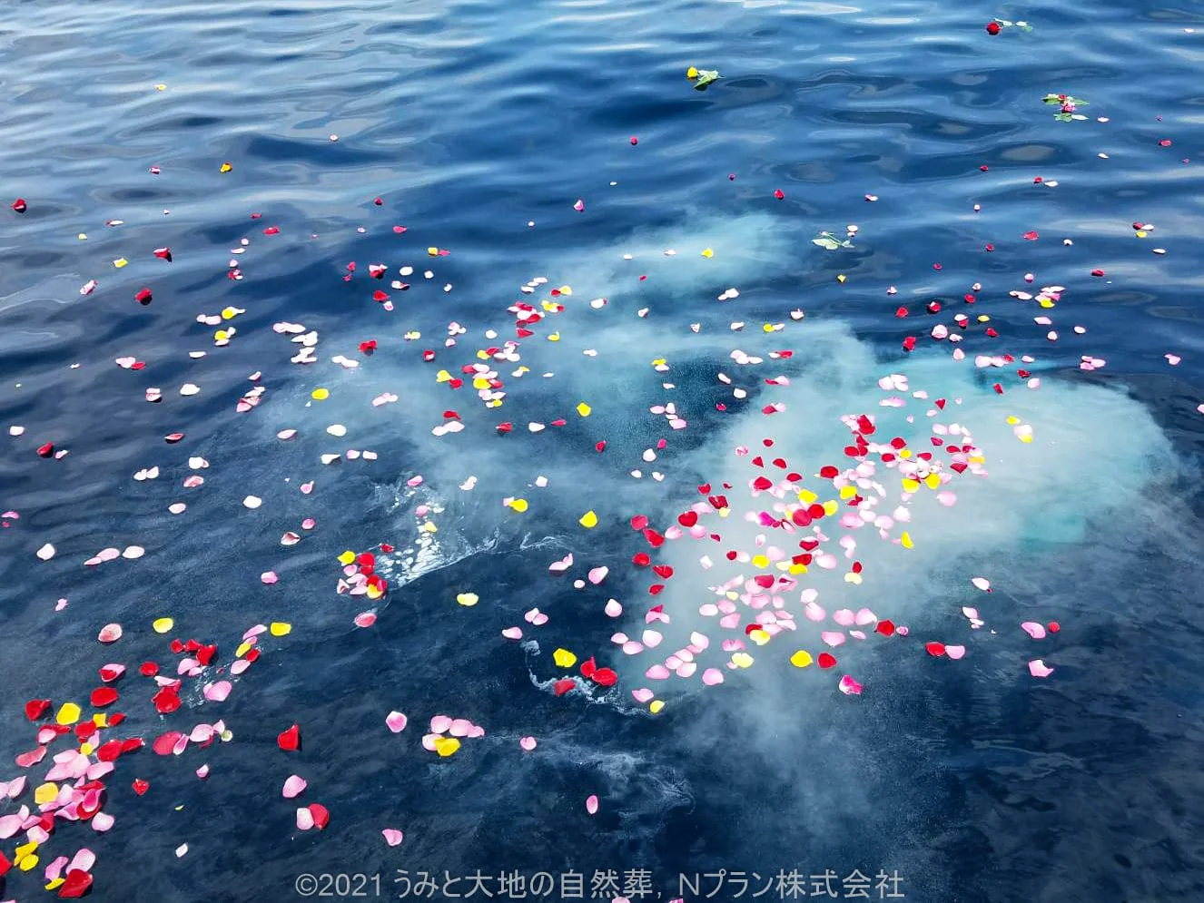 海洋葬（Ｎプラン） - Image 7