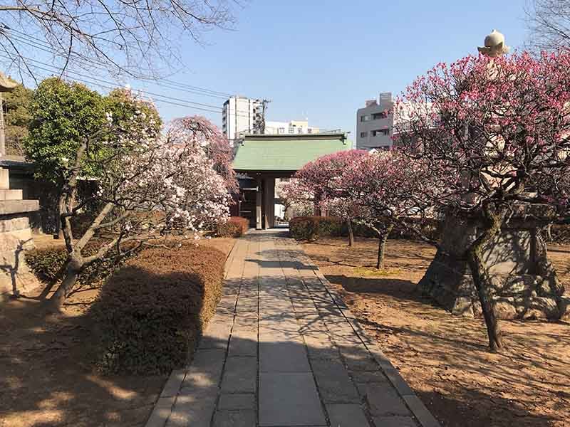 日曜寺 愛染墓苑 - Image 9