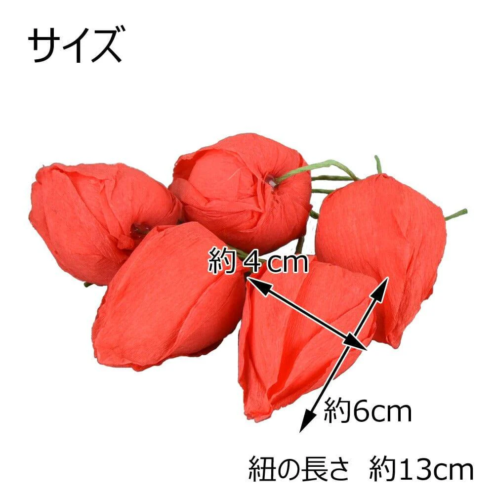 お盆用品 ほおずき バラ5個入 - Image 2