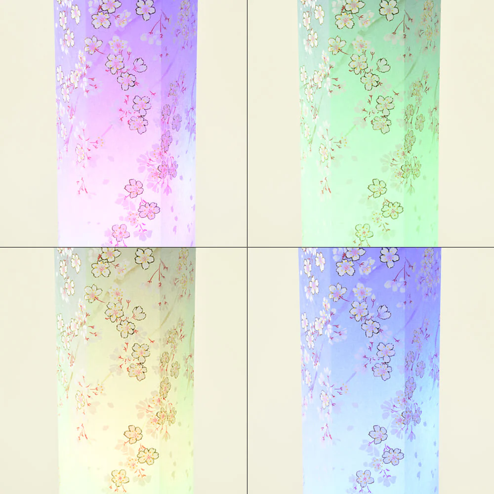 新型 美六 桜吹雪 大 - Image 9