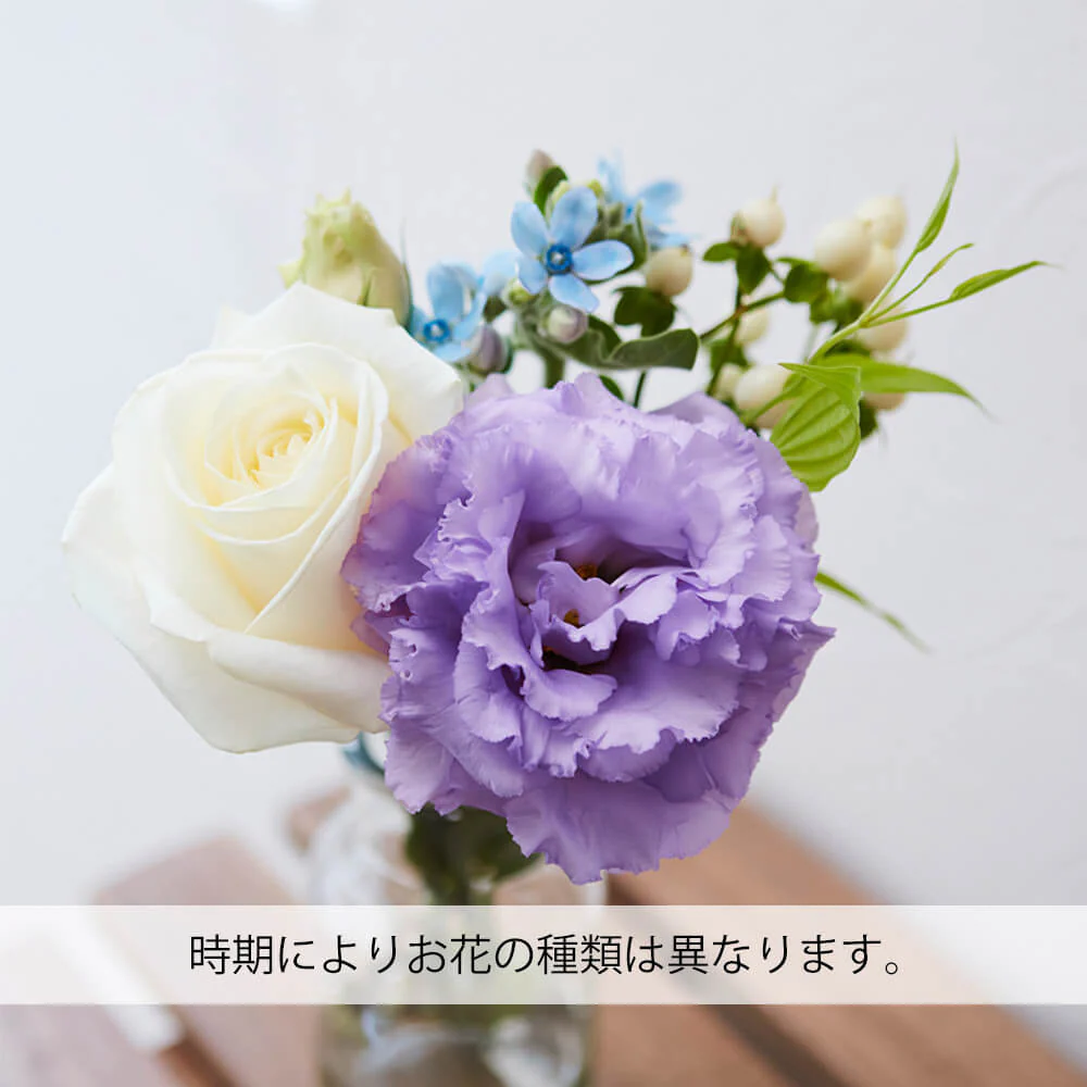 仏花の定期便(1回のみお試しプラン) 5本セット - Image 6