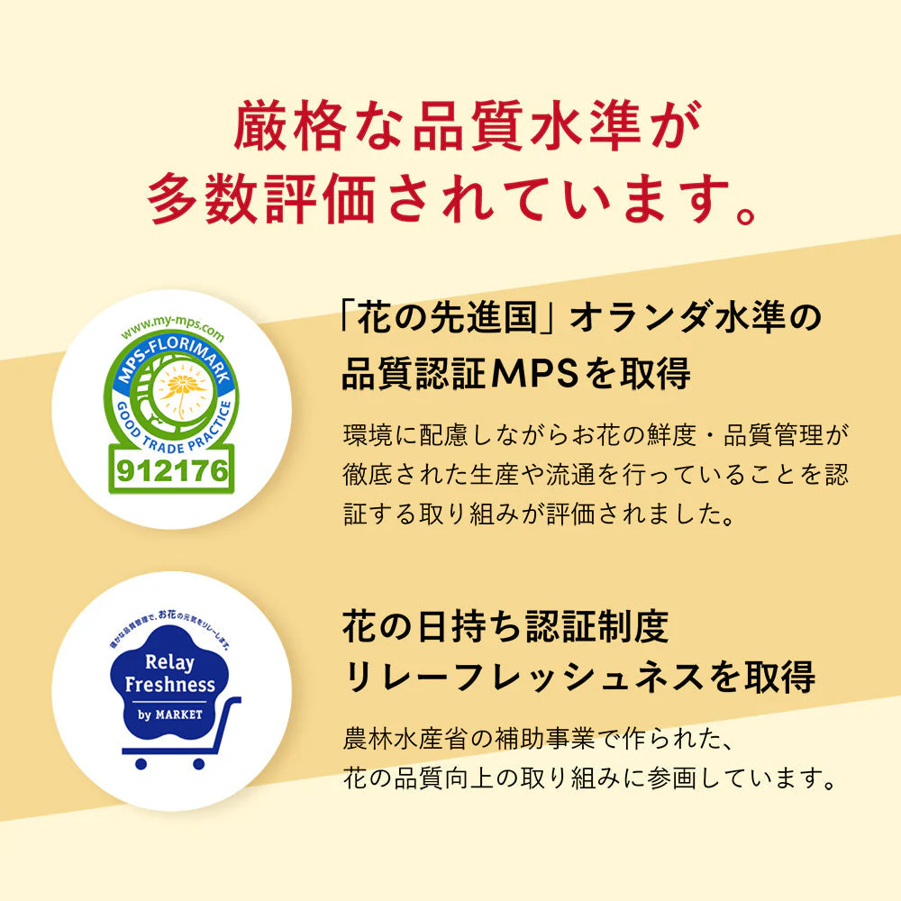 仏花の定期便 5本＋少煙線香コース 澄華(ちょうか) - Image 16