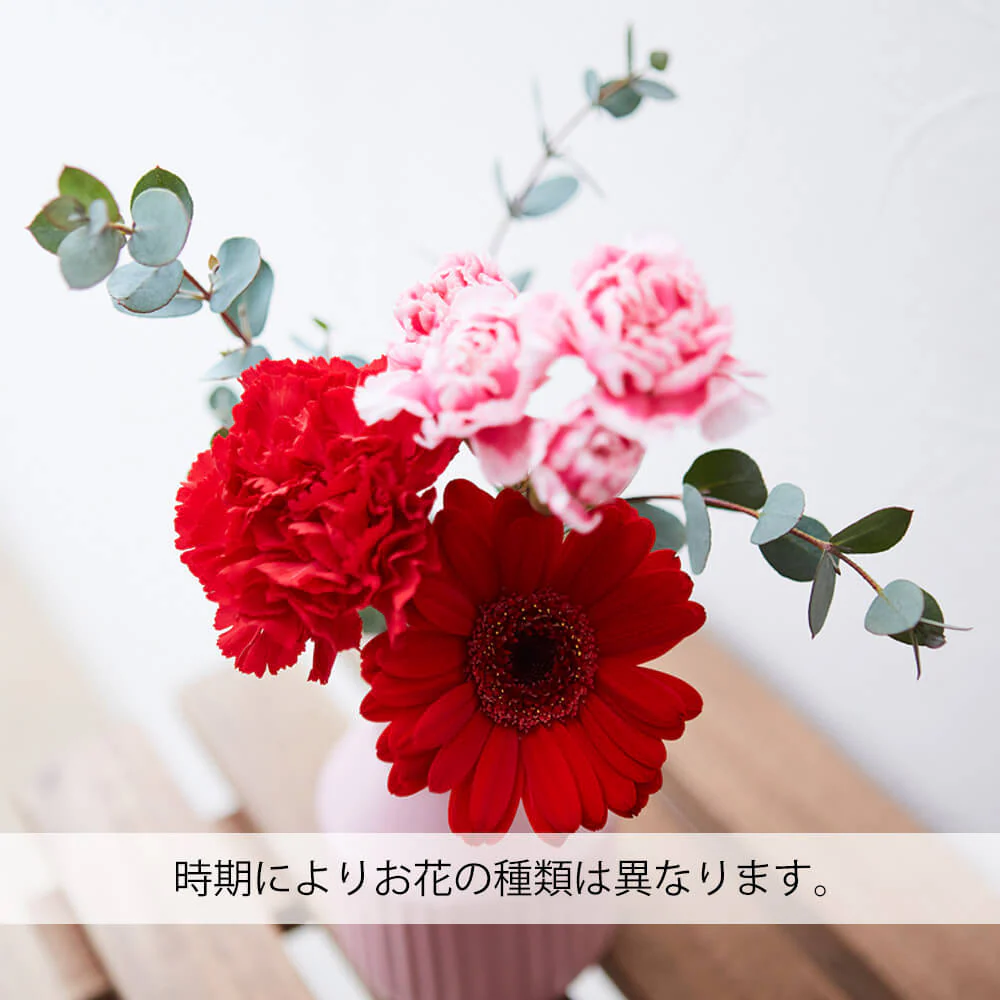 仏花の定期便 5本＋少煙線香コース 澄華(ちょうか) - Image 6