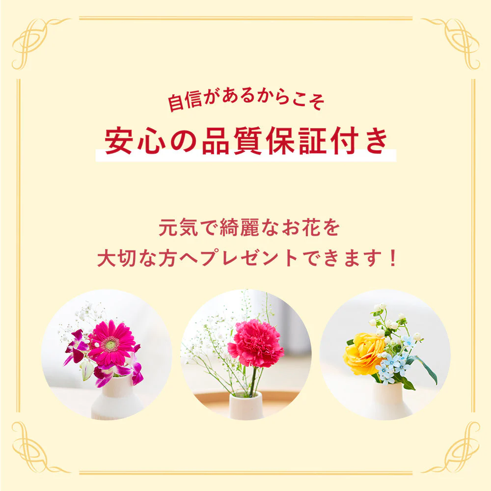 仏花の定期便(週1回・隔週プラン) 8本セット - Image 10