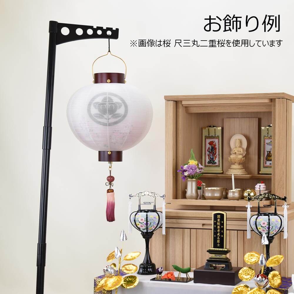 門提灯 桜 尺四丸 二重桜 - Image 6