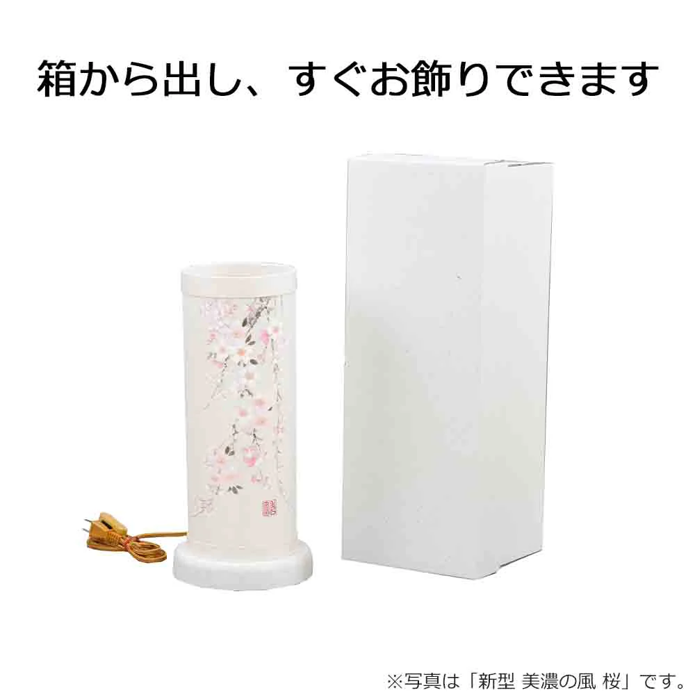 新型 美濃の風 芙蓉 - Image 6