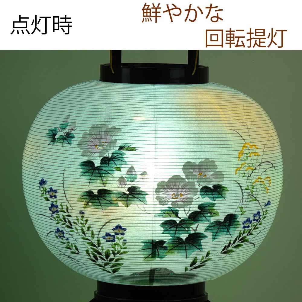 回転 11号 菊蒔絵 - Image 3