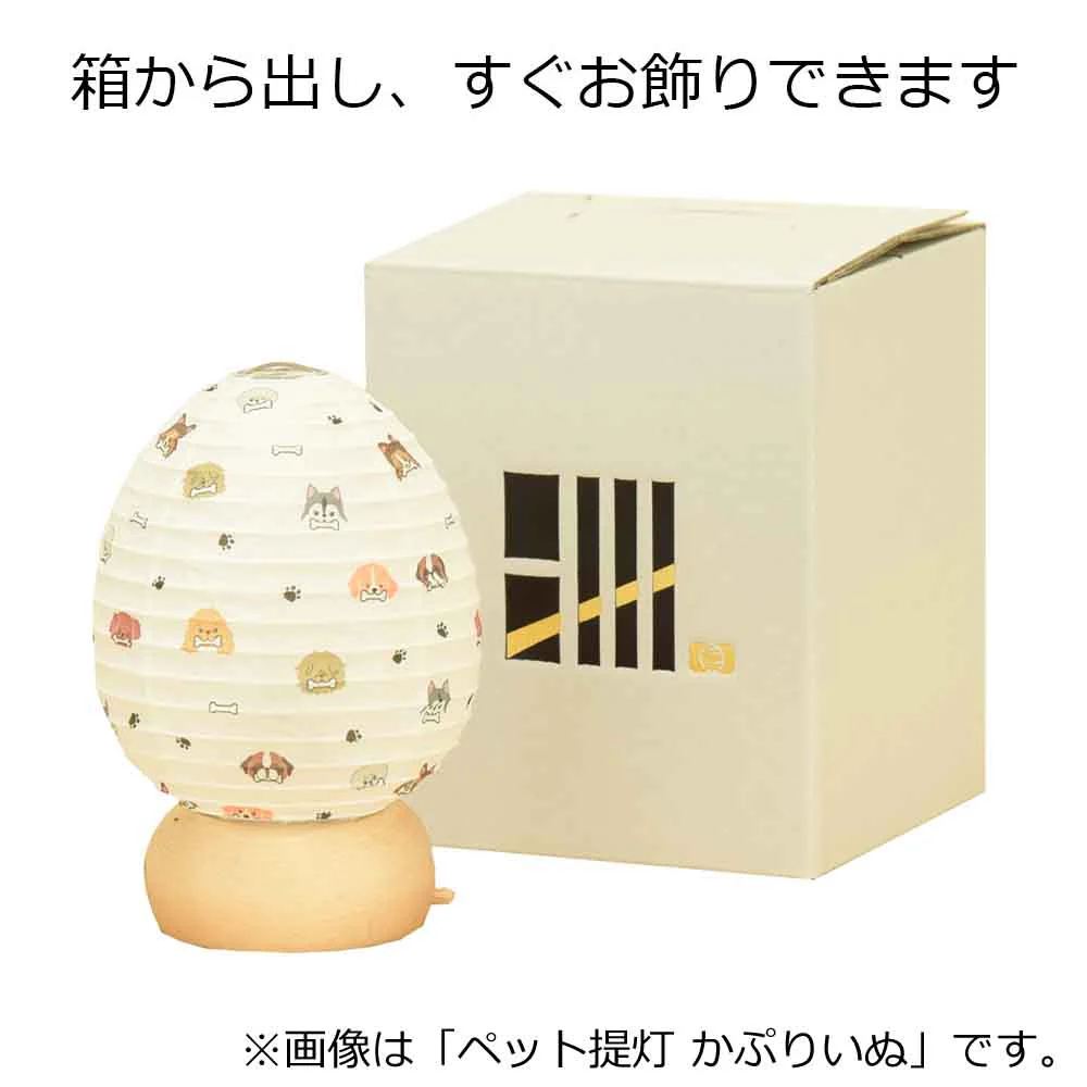 ペット提灯 さかにゃ - Image 8
