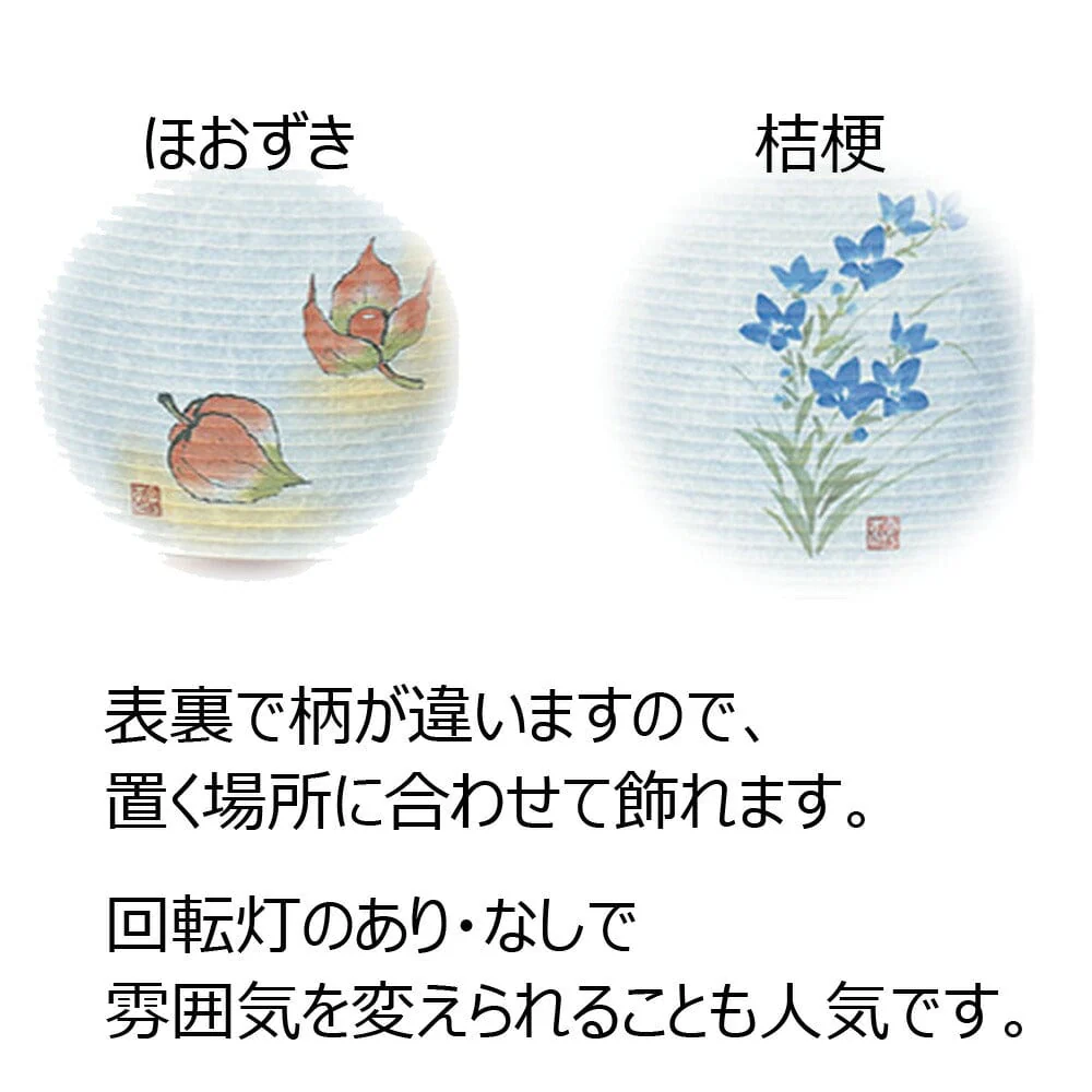 新型 有楽 あきいろ 回転付 - Image 4