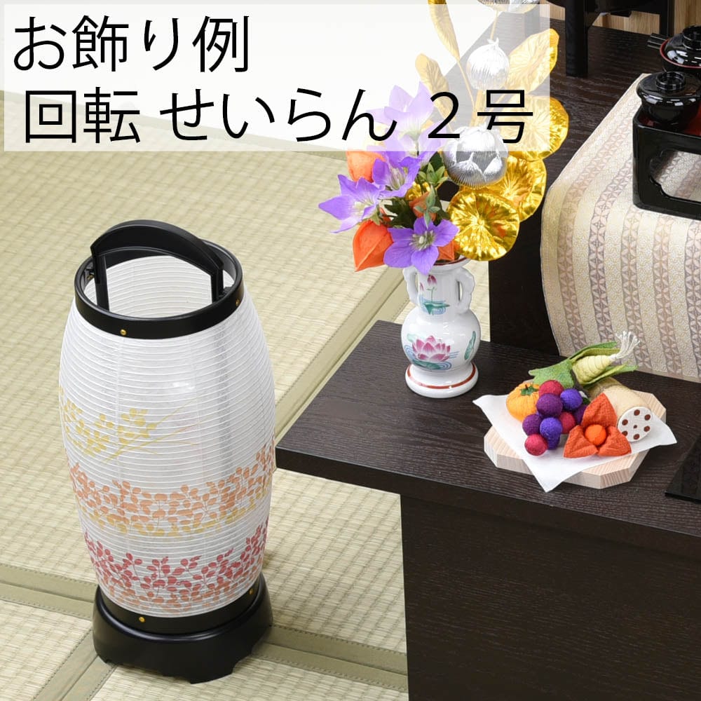 新型 回転 せいらん ２号 - Image 2