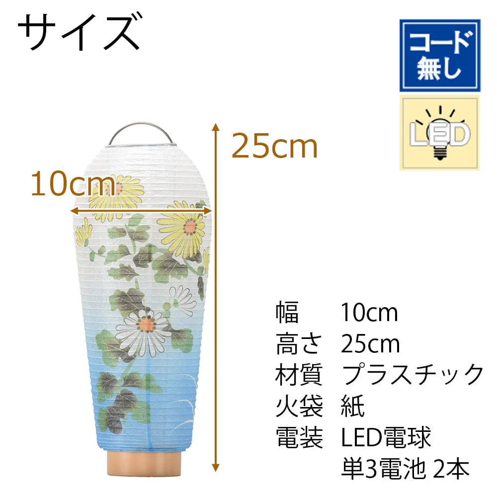 新型 小珠 美濃菊 - Image 2