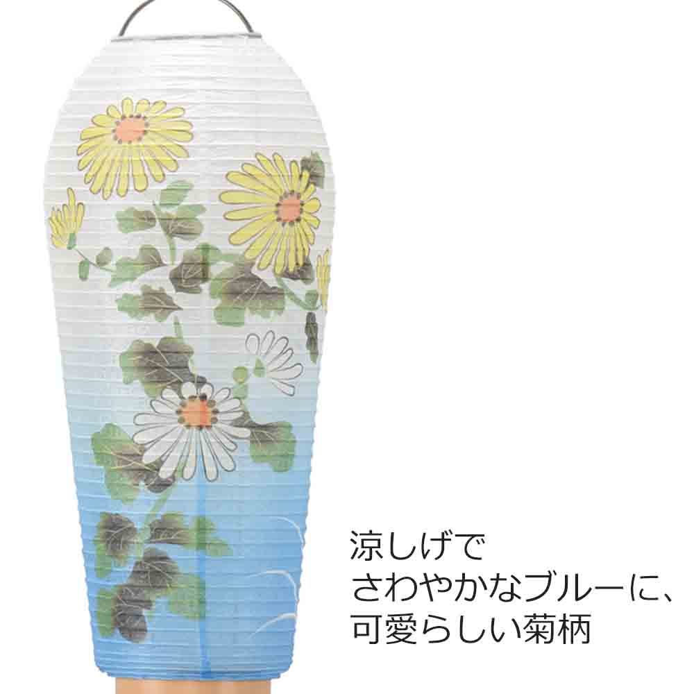 新型 小珠 美濃菊 - Image 3