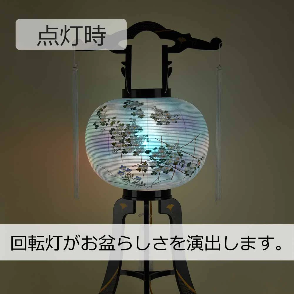 回転 あかり 綾型 12号 蒔絵絵入 - Image 4